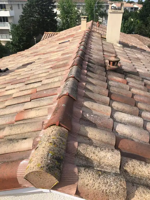 Faîtage en tuile canal et souche de cheminée, immeubles alentour
